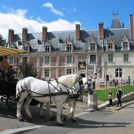 Blois City - Le Petit Saint Jean المظهر الخارجي الصورة