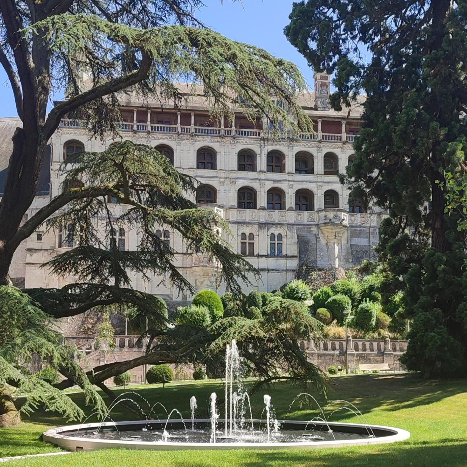 Blois City - Le Petit Saint Jean المظهر الخارجي الصورة