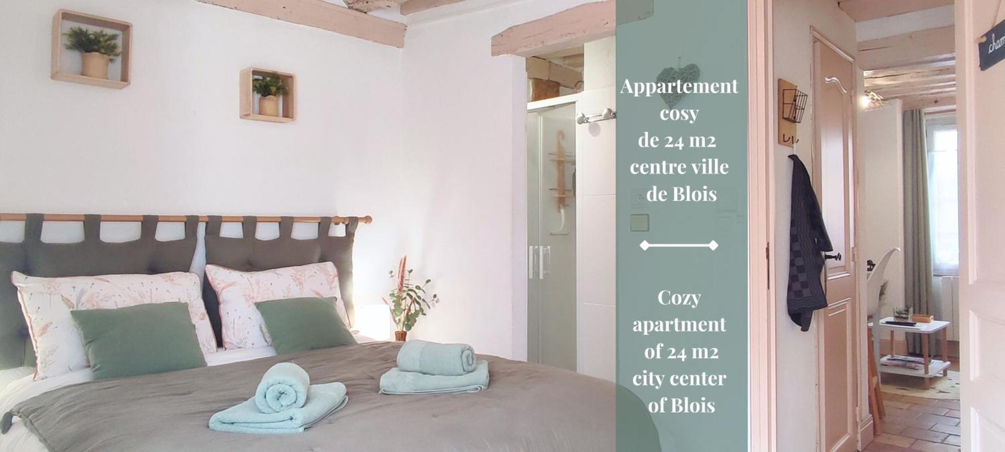 Blois City - Le Petit Saint Jean المظهر الخارجي الصورة